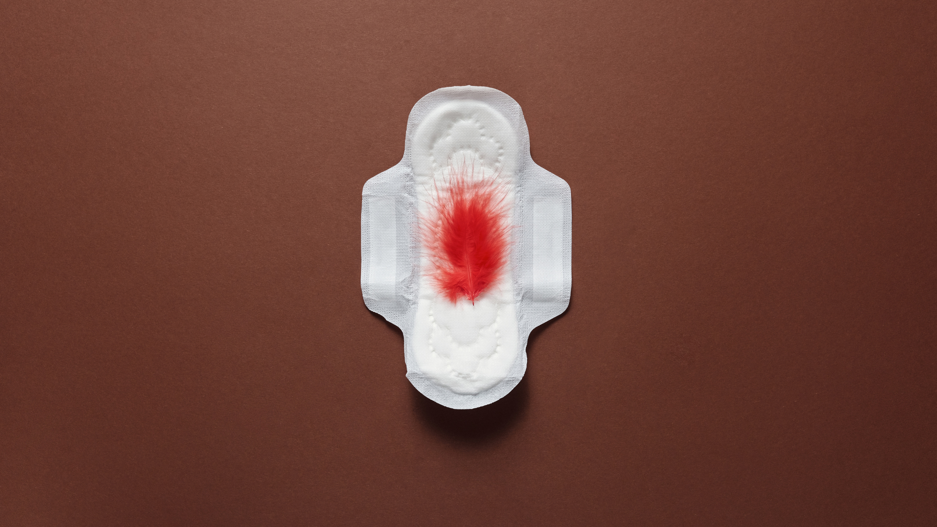 Hiểu rõ đặc điểm và thời điểm xuất hiện máu báo sẽ giúp bạn phân biệt với kinh nguyệt thông thường