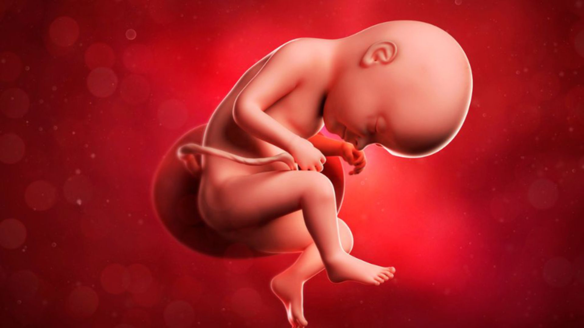 Mẹ bầu ăn bánh tráng trộn có thể ảnh hưởng đến sự phát triển của thai nhi