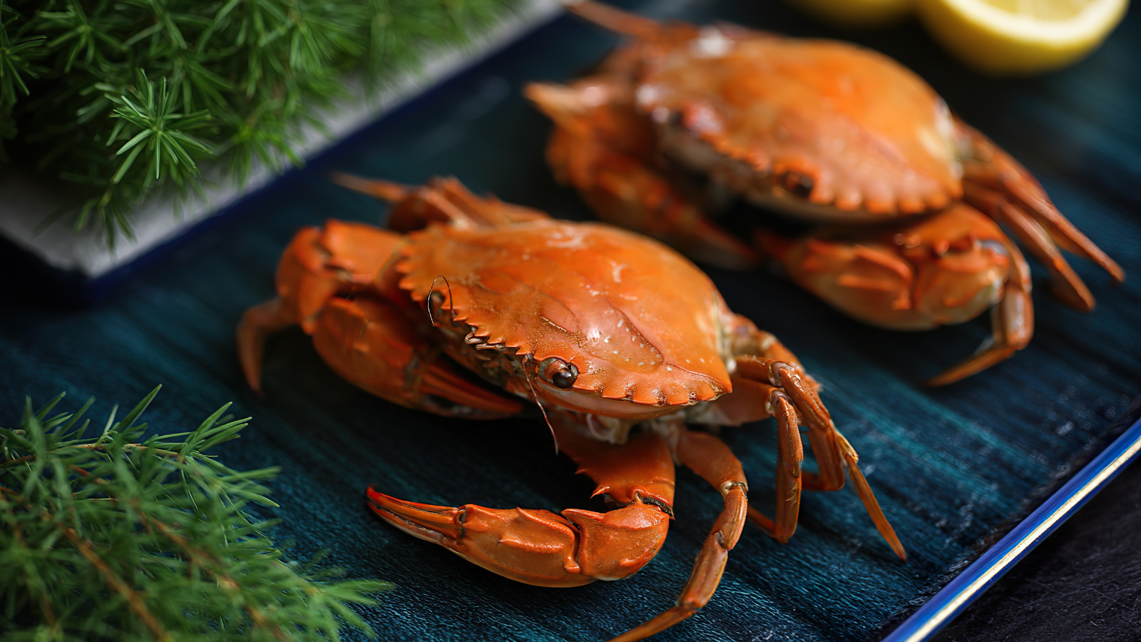 Ăn cua mang lại nhiều lợi ích cho mẹ bầu