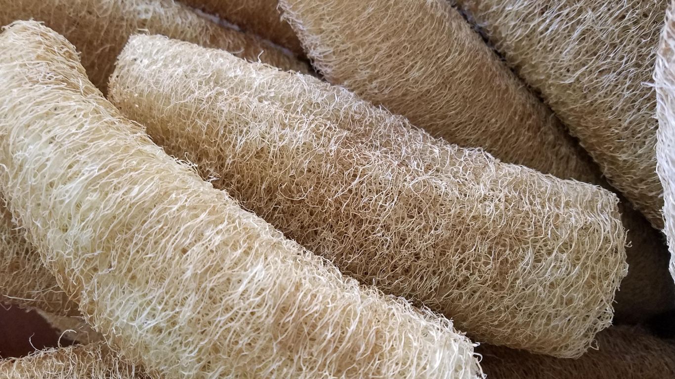 me-bau-an-muop-duoc-khong 3