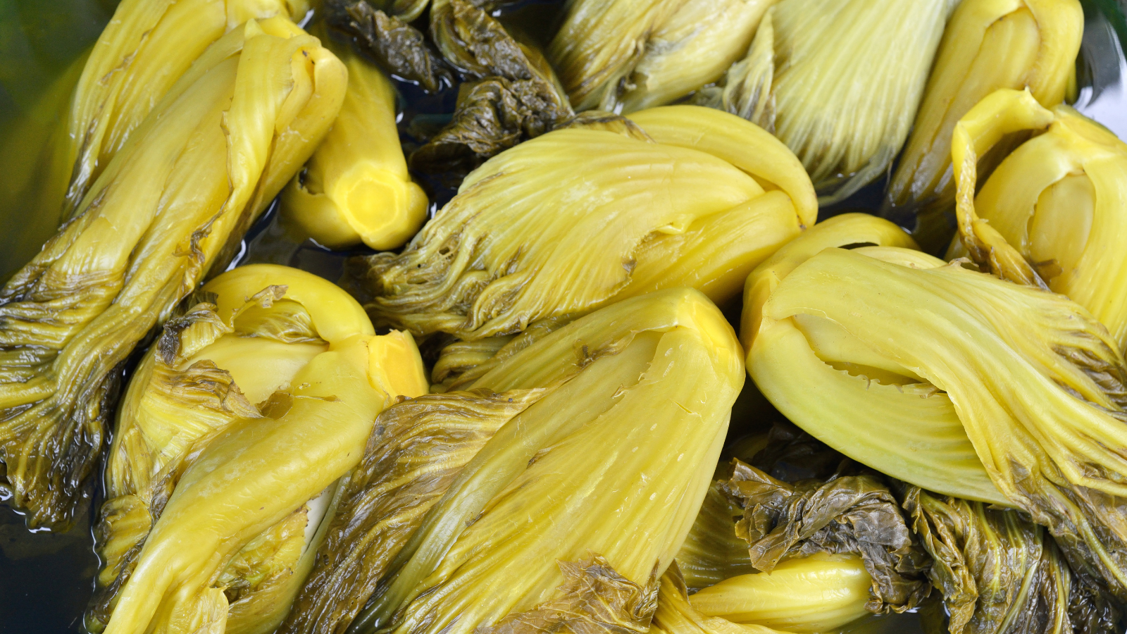 Mẹ bầu nên chọn cải chua sạch để bảo vệ sức khỏe thai nhi