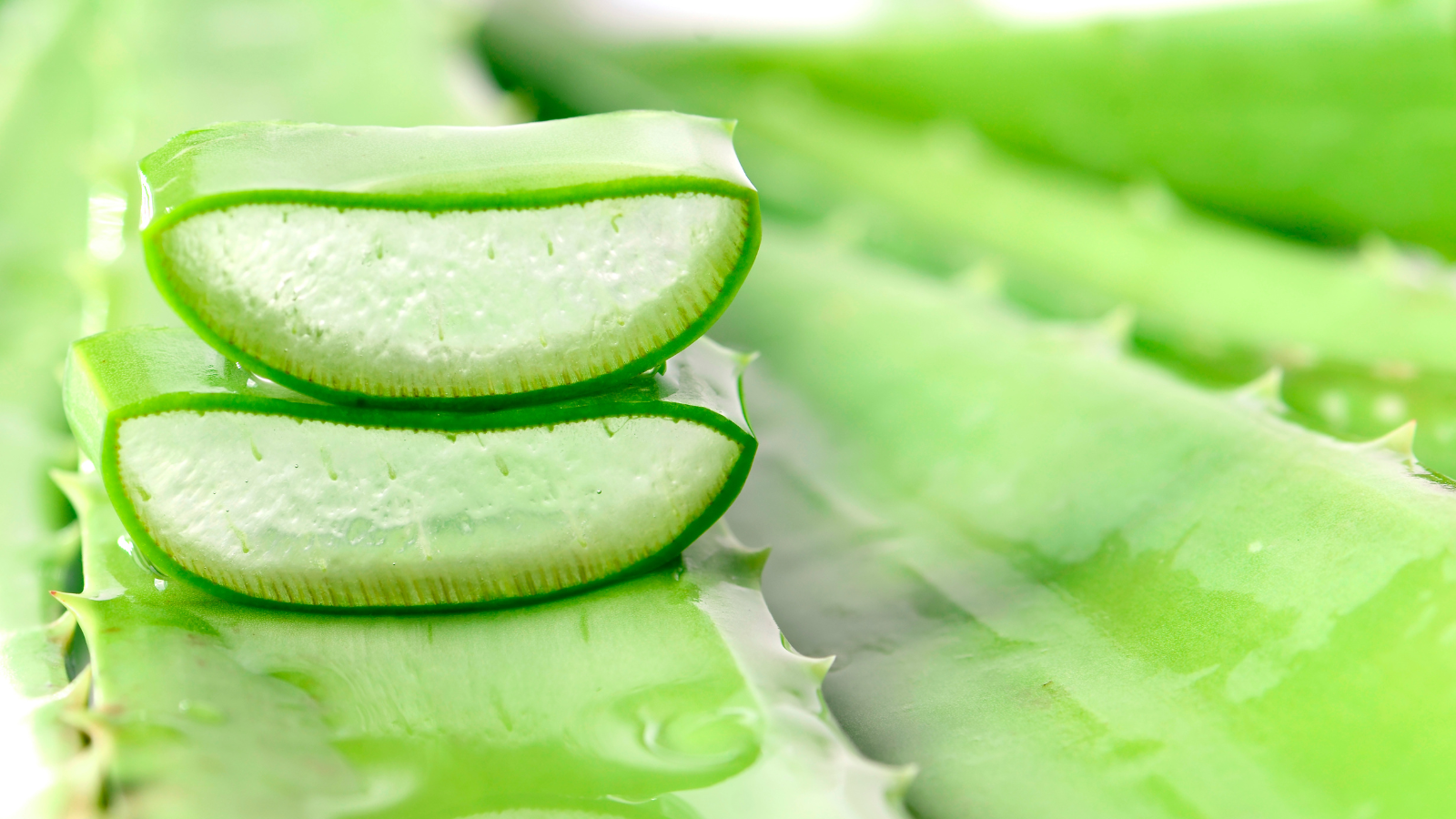 Mẹ bầu nên ưu tiên chọn mua sữa chua nha đam từ các thương hiệu uy tín