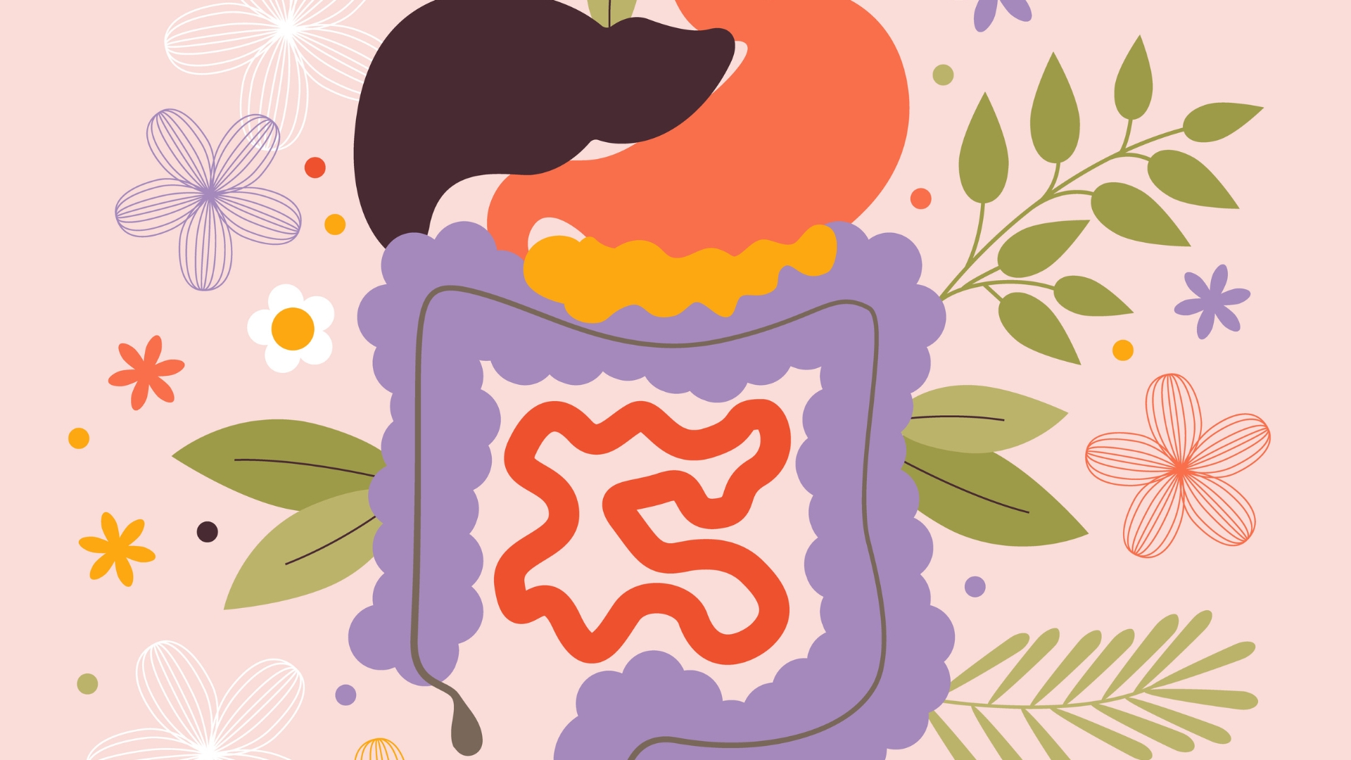 Rối loạn chức năng tiêu hóa và các bệnh lý về dạ dày có thể là nguyên nhân dẫn đến ăn không tiêu