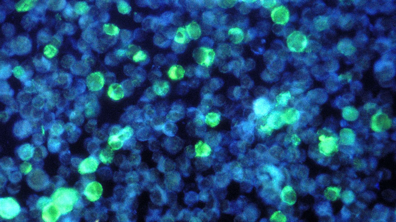 mien-dich-dac-hieu-la-gi 3