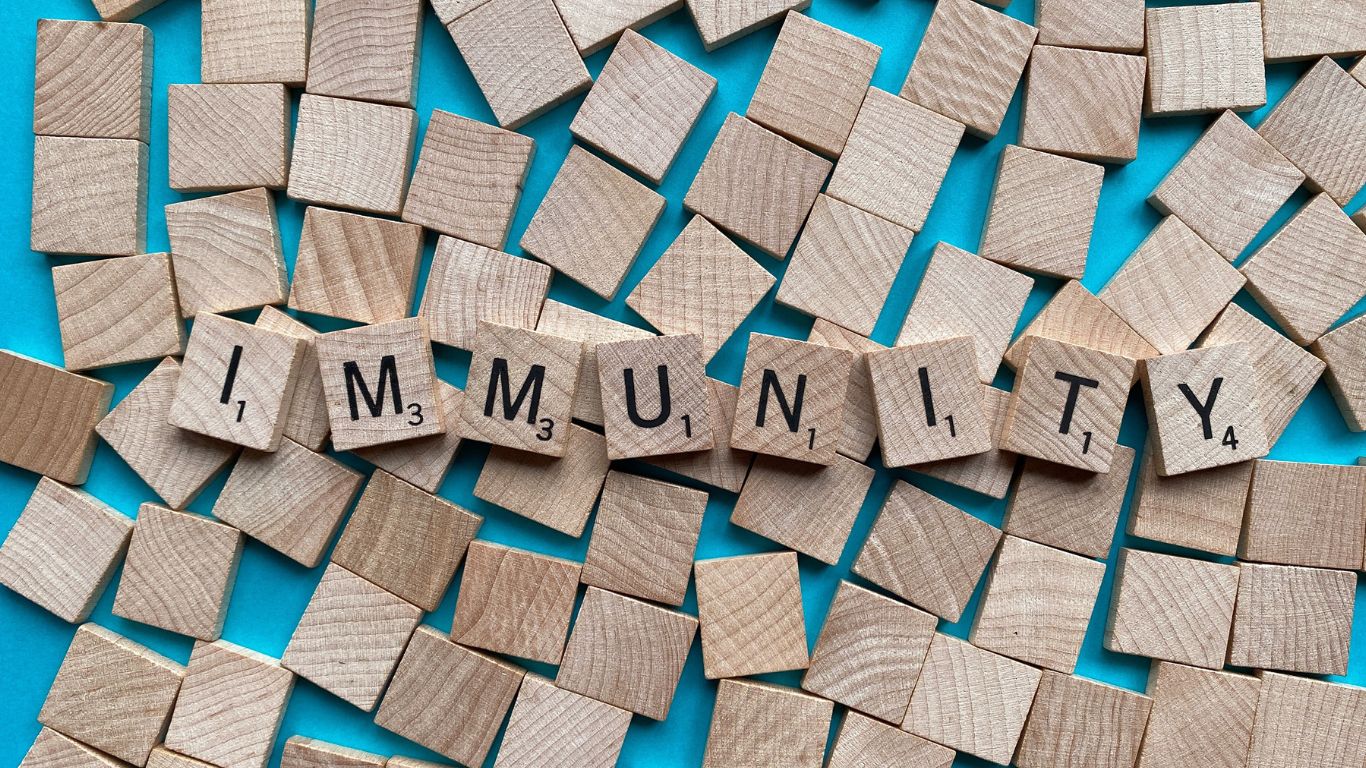 mien-dich-la-gi-nhung-cach-giup-tang-cuong-mien-dich 1