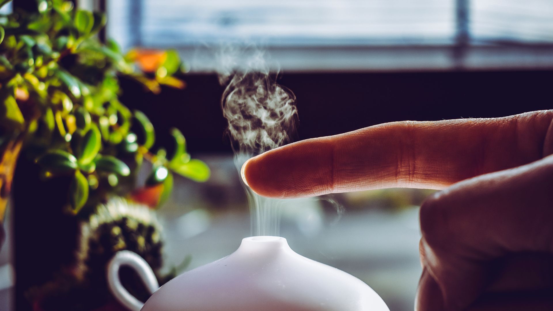 Sử dụng thêm máy tạo ẩm giúp giữ ẩm đường thở tránh khô rát