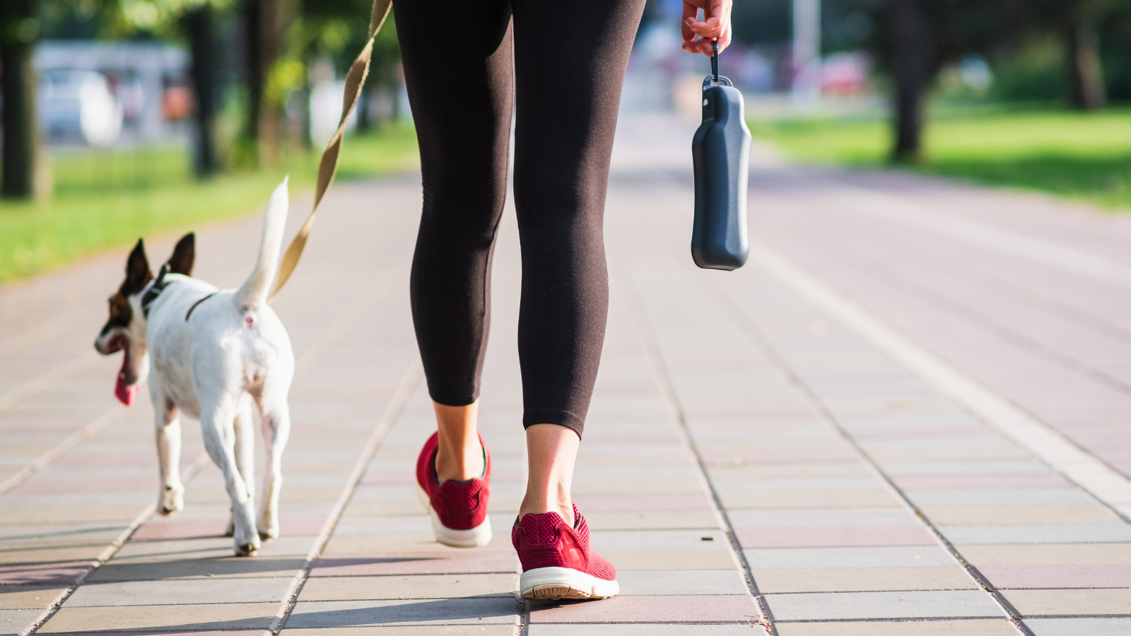 Duy trì thói quen đi bộ nhẹ nhàng để khí huyết lưu thông, nhưng cần hạn chế tối đa các động tác mang vác nặng