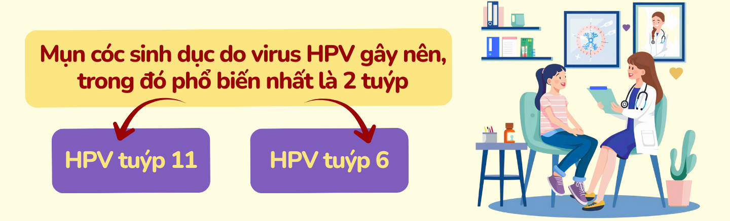 Mụn cóc sinh dục: Càng chần chừ điều trị càng khó kiểm soát 3