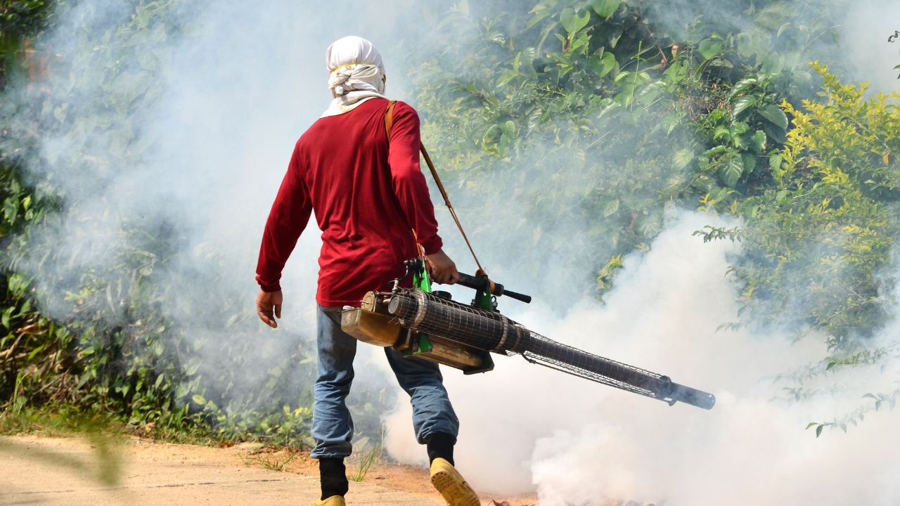 Phun thuốc diệt muỗi đúng cách và đúng thời điểm