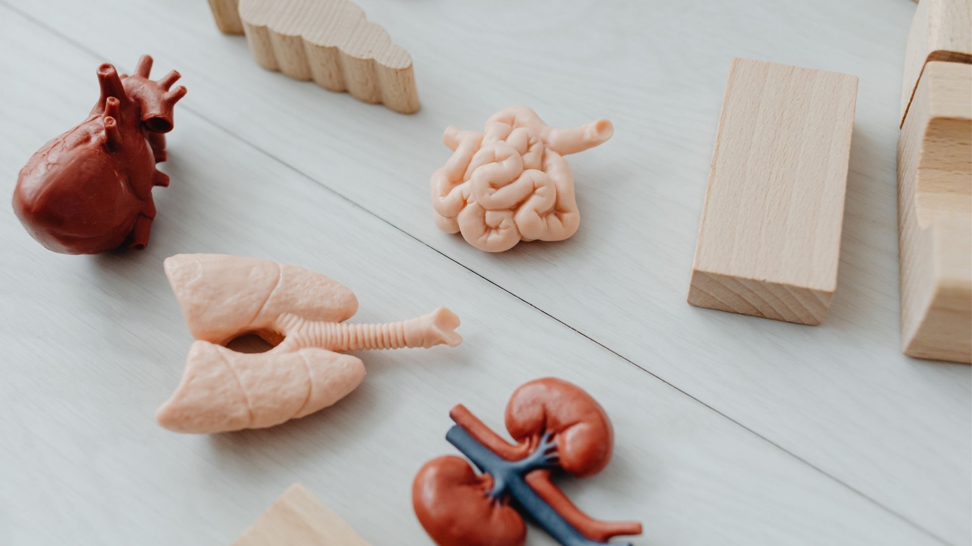 Nấm Candida có thể xuất hiện tại nhiều cơ quan