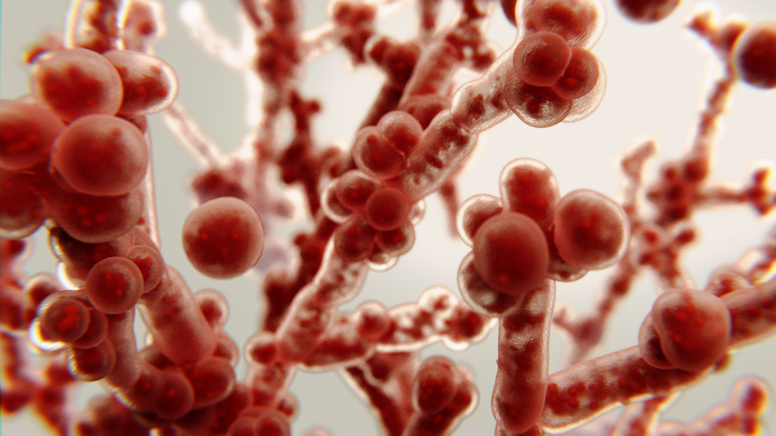 Nấm Candida ở miệng là gì?