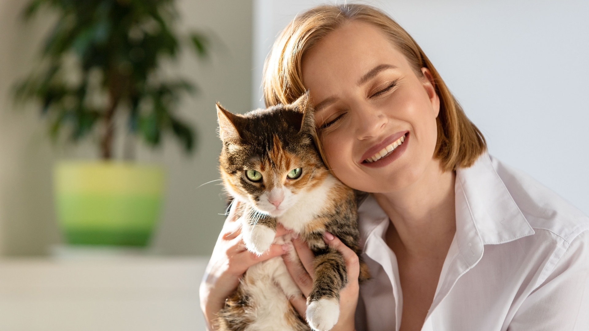 Sau khi tiếp xúc với thú cưng, nên rửa tay sạch sẽ