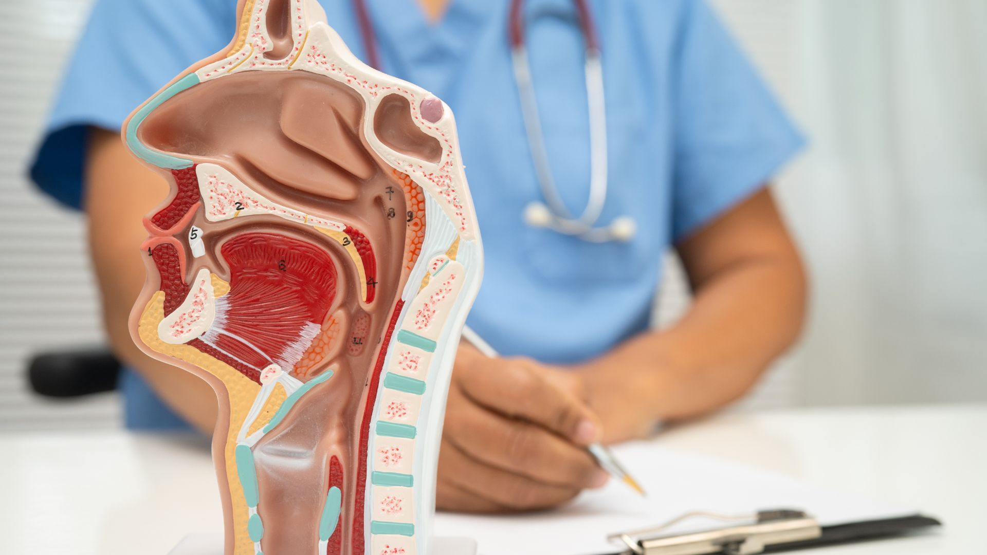 Vị trí VA trong đường hô hấp