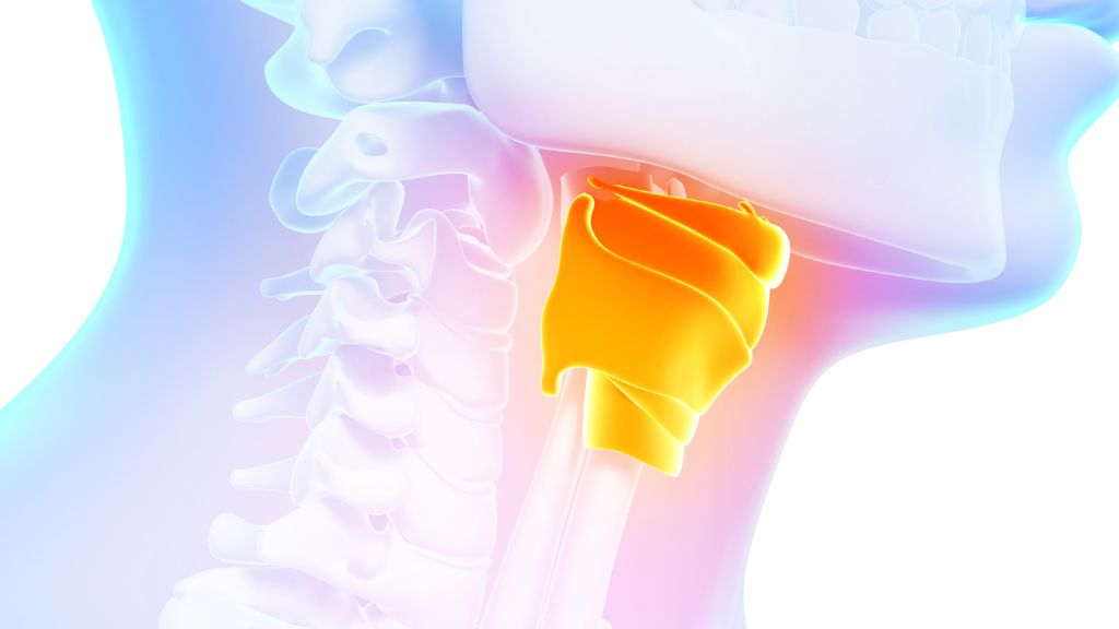 Nắp thanh quản hoạt động như một cơ chế bảo vệ tự động trong mỗi lần chúng ta nuốt