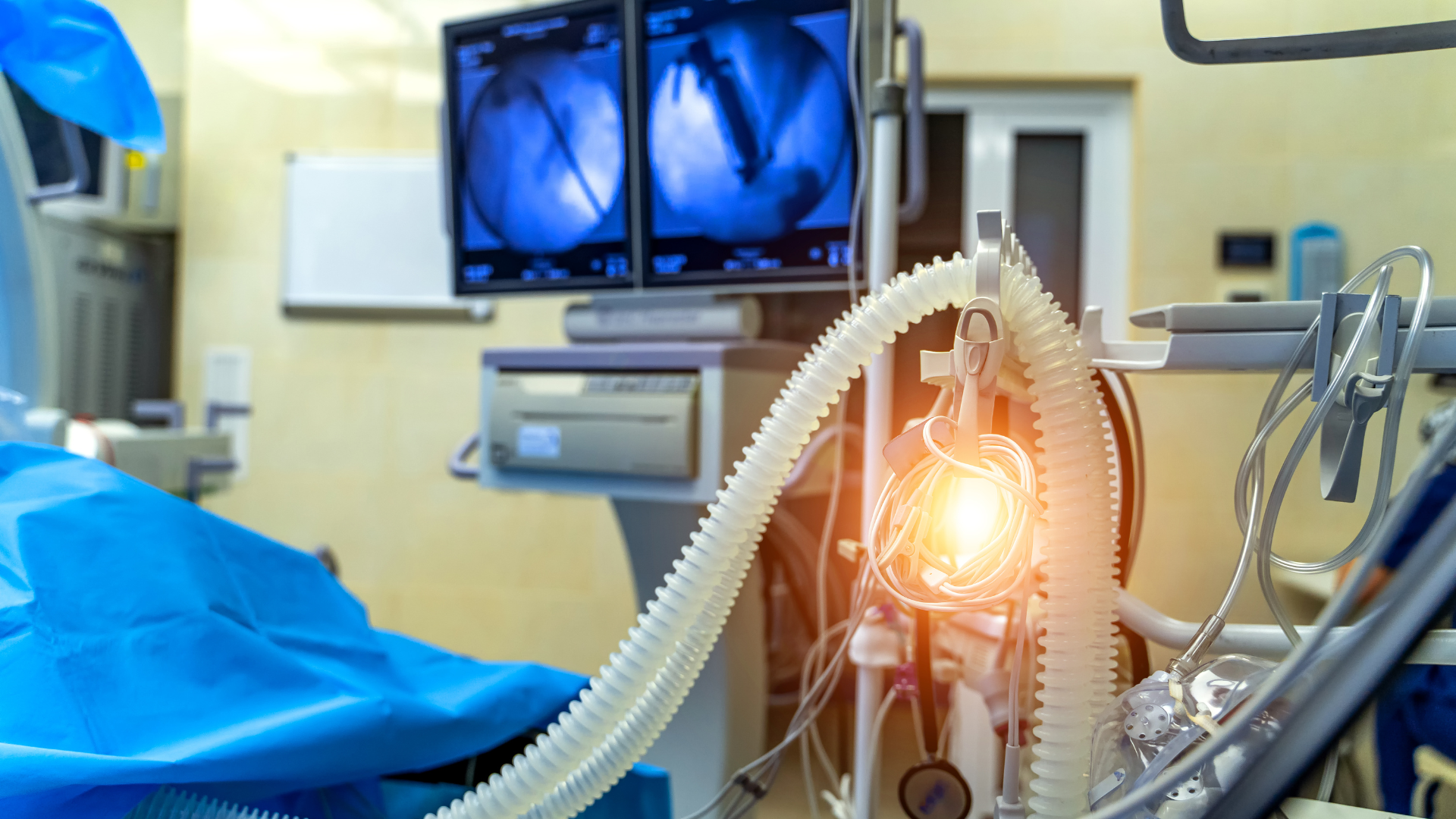 Cần đưa người nghi ngộ độc lá ngón đến cơ sở y tế sớm