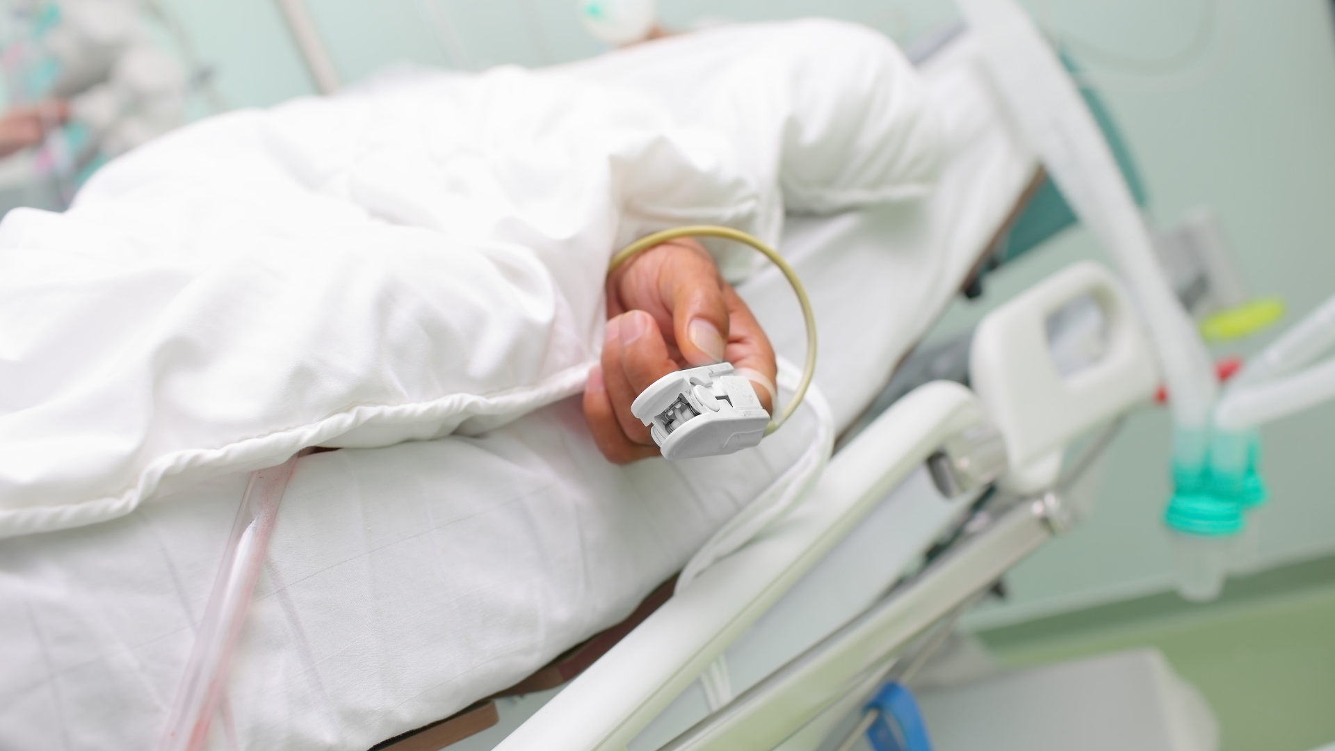 Ngộ độc mật cá trắm có thể ảnh hưởng đến gan và thận