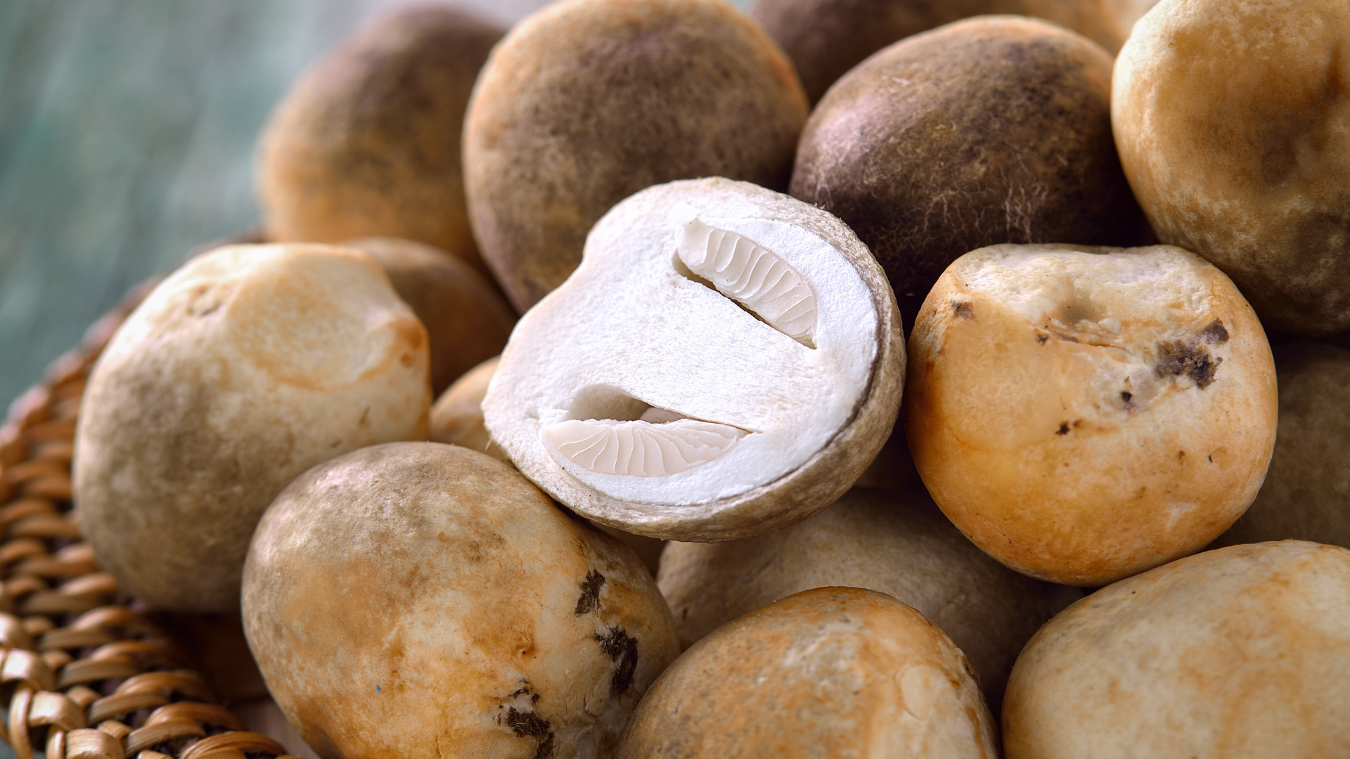 Nhận biết sớm ngộ độc nấm rơm giúp giảm nguy cơ biến chứng