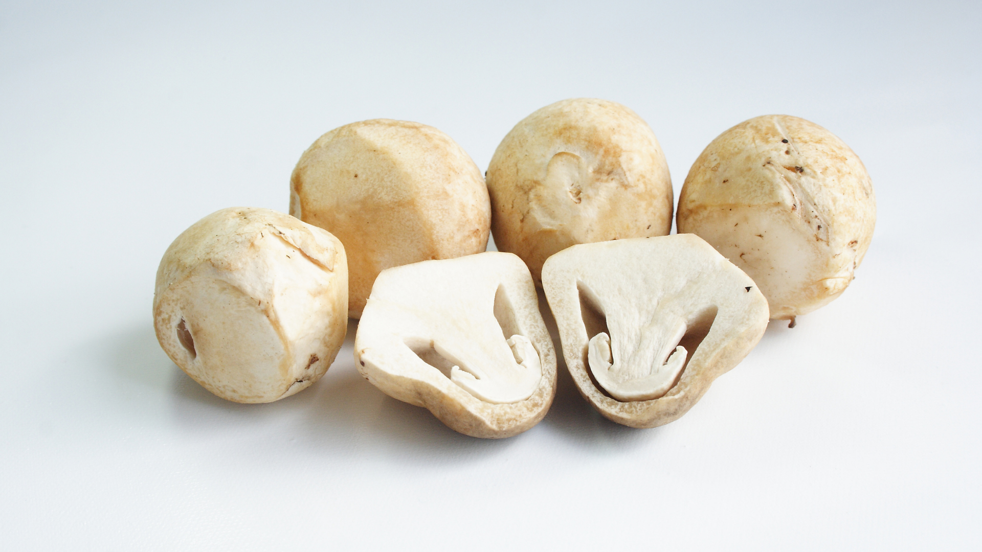 Cách chọn nấm an toàn giúp phòng ngộ độc nấm rơm