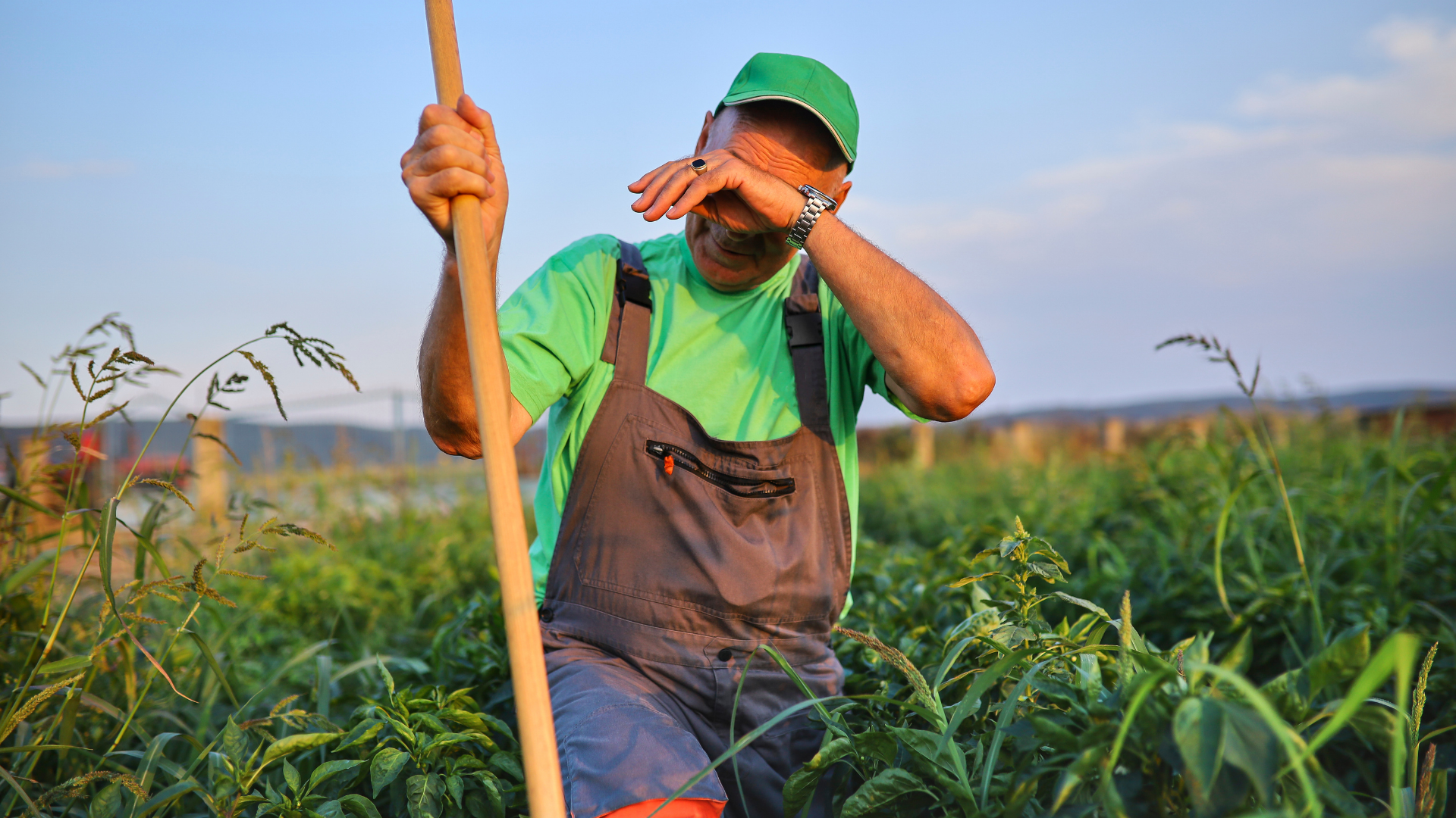 Dấu hiệu nhận biết ngộ độc phospho hữu cơ