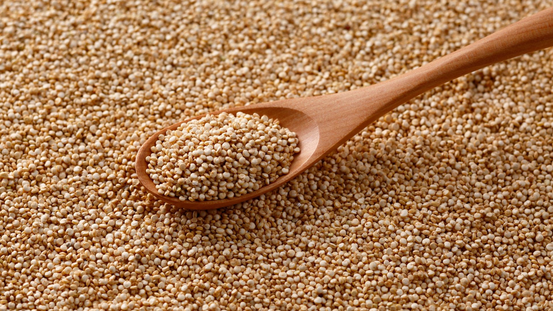 Quinoa là một trong số ít loại ngũ cốc cung cấp đủ 9 loại axit amin thiết yếu