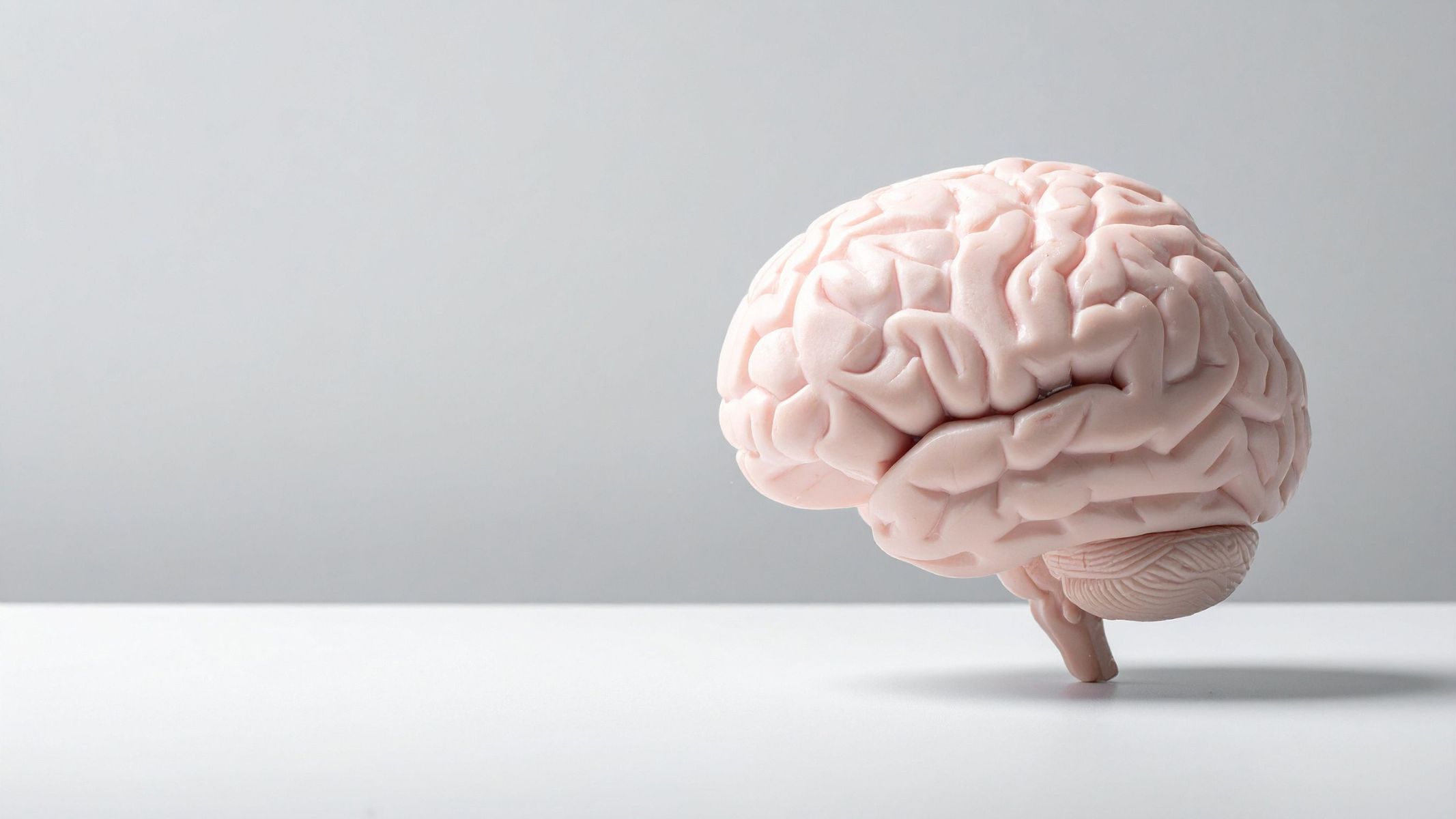 Ngủ trưa hợp lý giúp cải thiện trí nhớ và khả năng tập trung