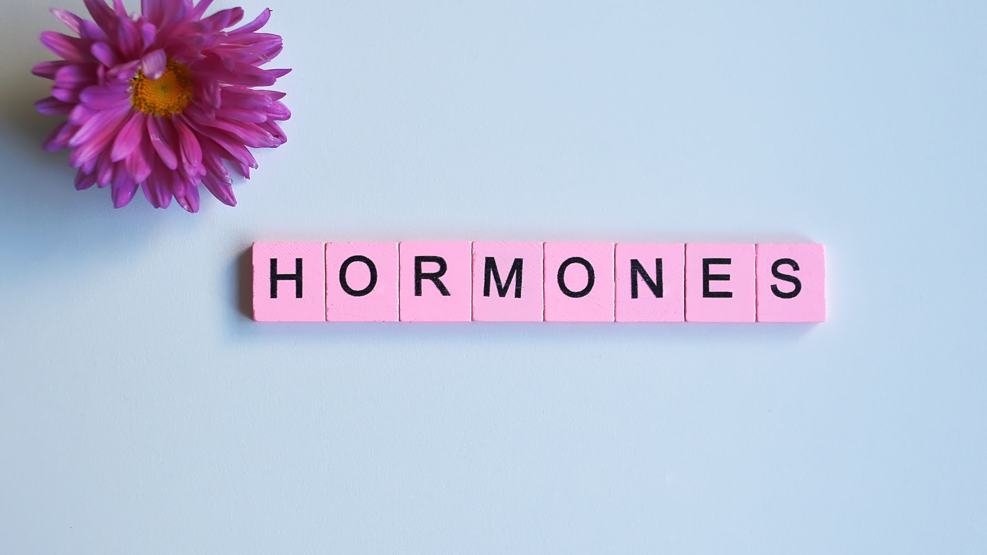 Thay đổi nội tiết tố theo chu kỳ là một nguyên nhân khiến ngực có cục cứng đau