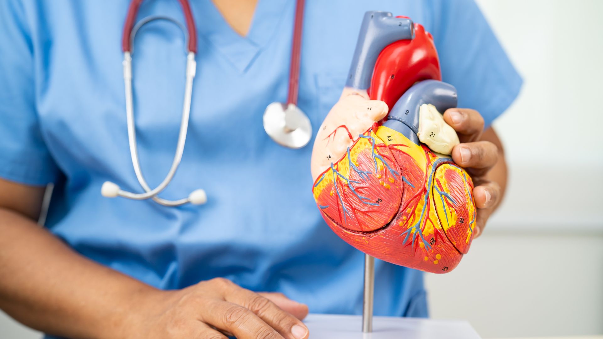 Rối loạn tim mạch có thể xảy ra nếu không điều trị suy giáp kịp thời