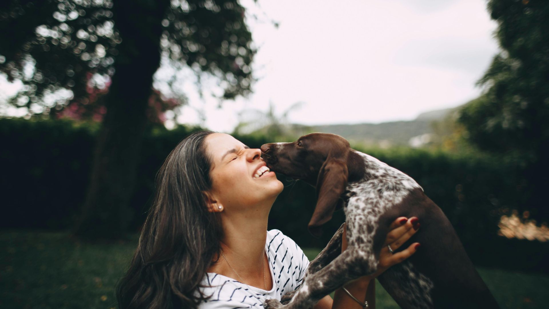 Vết cắn ở đầu, mặt, cổ hoặc gần mắt, miệng có nguy cơ cao, cần đến ngay cơ sở y tế