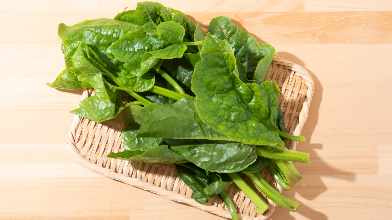 Rau mồng tơi có chứa lượng lớn axit oxalic