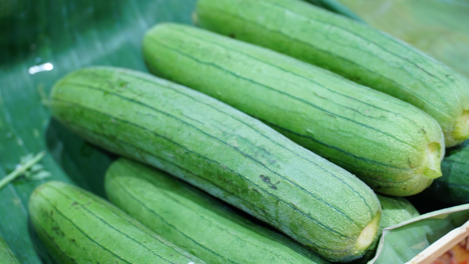 Đau dạ dày có nên ăn mướp hương không?