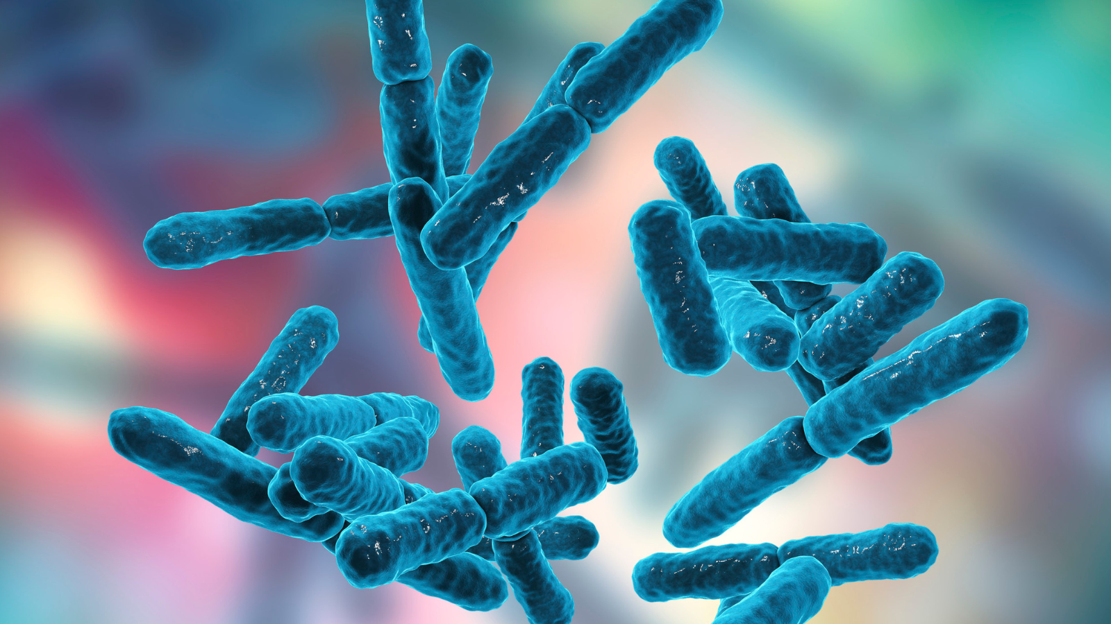 Nhiều loại men vi sinh khác tạo ra axit béo chuỗi ngắn