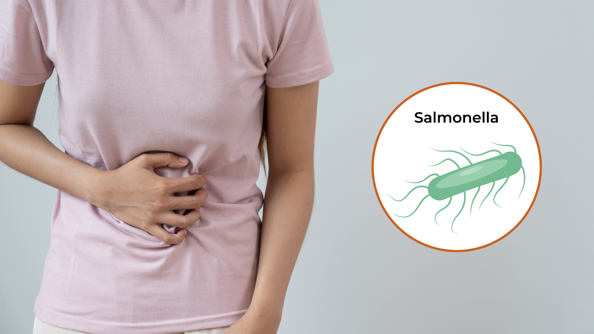 Salmonella là tác nhân thường gặp trong ngộ độc thực phẩm