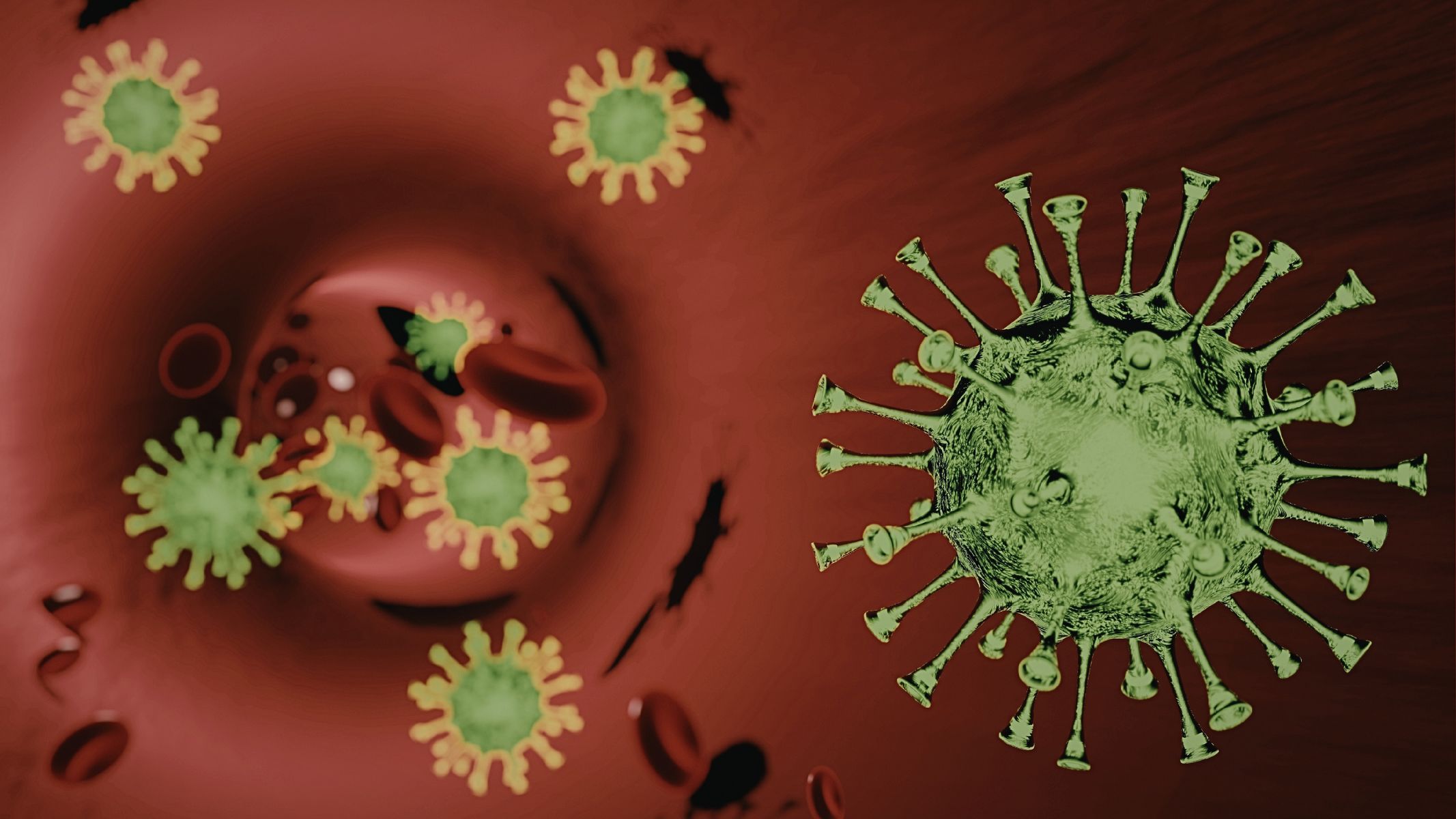 Các tác nhân vi khuẩn như Salmonella, Escherichia coli hoặc virus đường ruột có thể gây viêm niêm mạc tiêu hóa