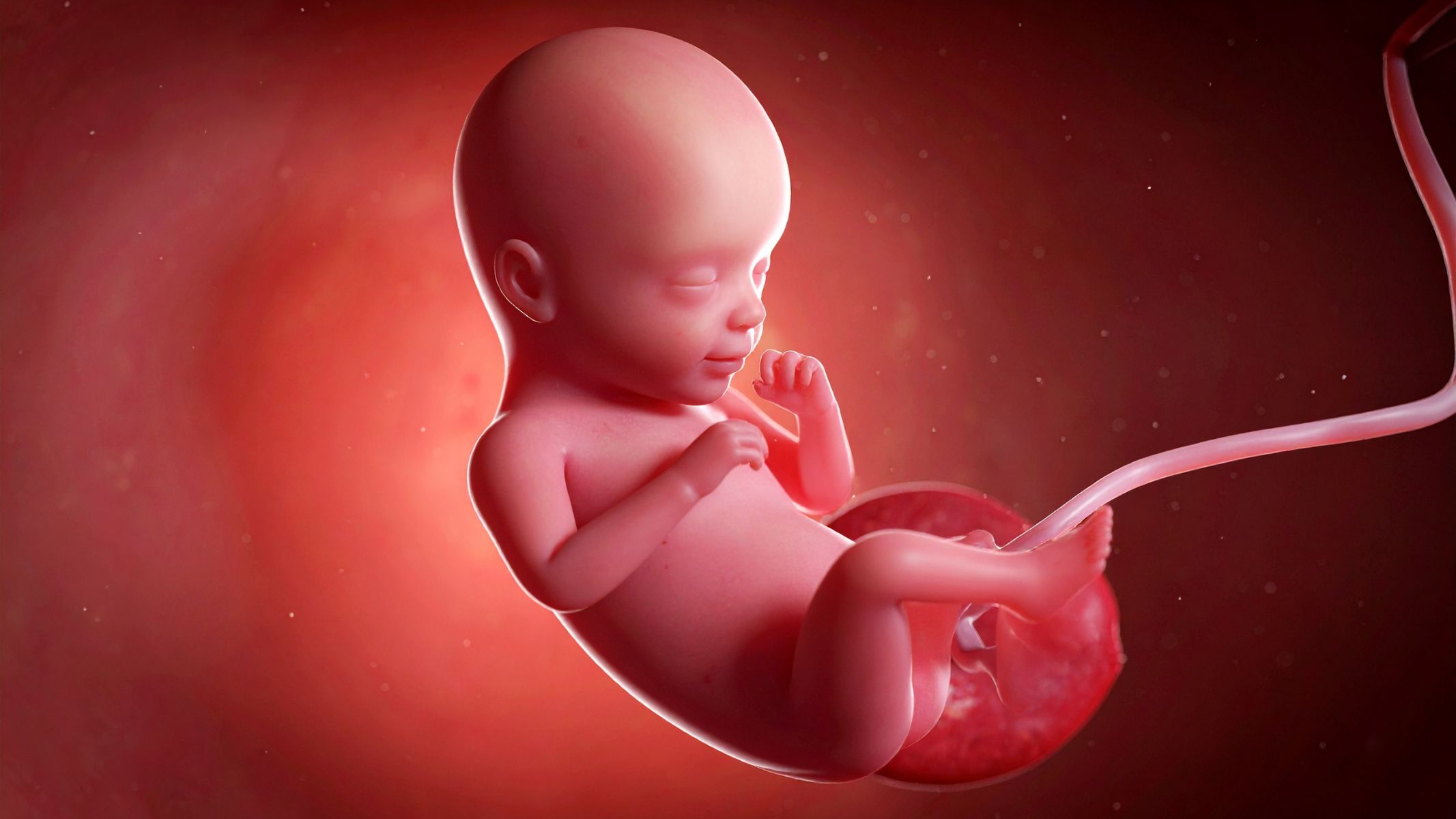 Thai không quay đầu là tình trạng thai nhi không xoay đầu xuống khung chậu người mẹ khi bước vào những tuần cuối thai kỳ