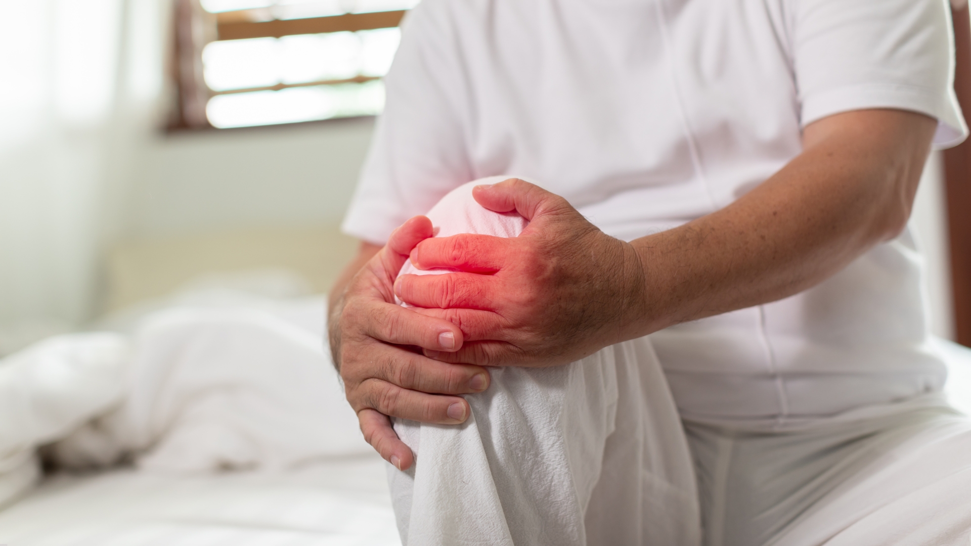 Khi các tinh thể urat tích tụ tại khớp gối, chúng kích hoạt phản ứng viêm cấp tính, gây sưng đau đột ngột và làm tăng lượng dịch trong khớp