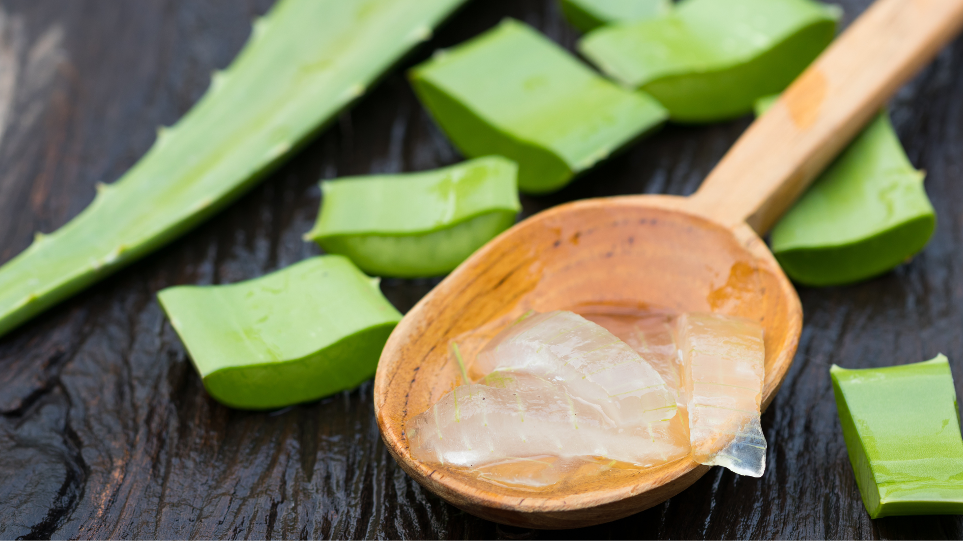 Nha đam có anthraquinone giúp nhuận tràng