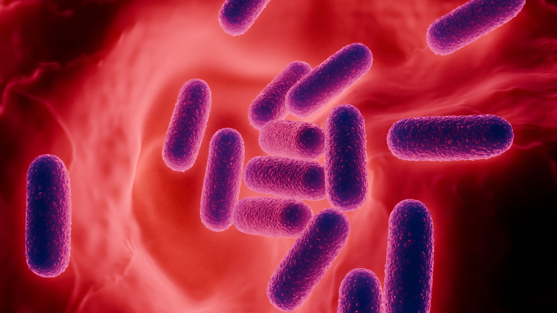 Nhiễm mycoplasma genitalium là tình trạng nhiễm vi khuẩn Mycoplasma genitalium