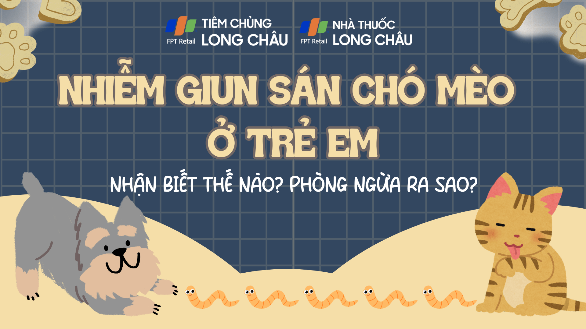 Nhiễm giun sán chó mèo ở trẻ em: Dấu hiệu nhận biết, cách phòng ngừa