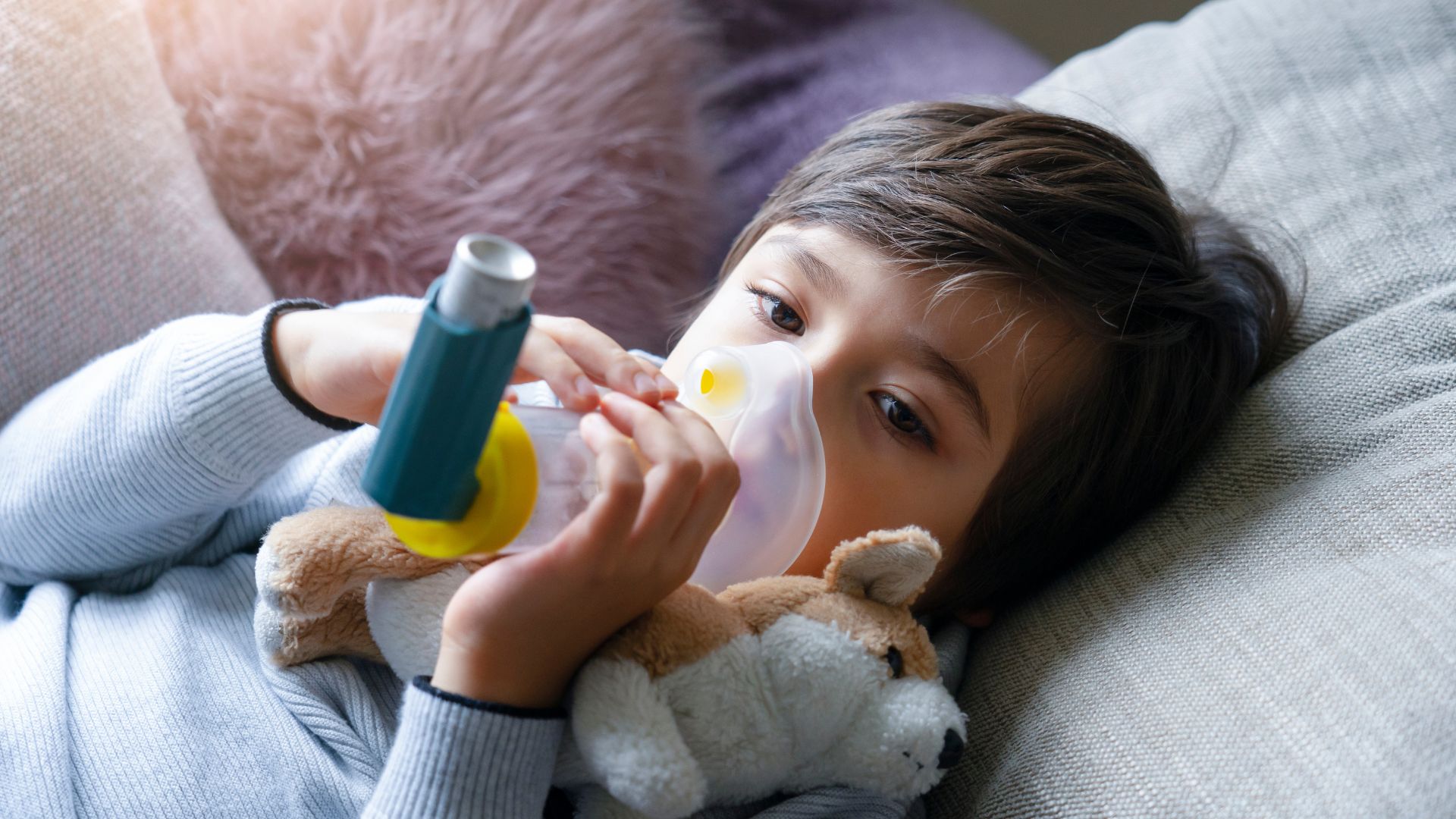 Nhiễm nấm aspergillus có triệu chứng như thế nào? Phòng ngừa nấm aspergillus ra sao? 2