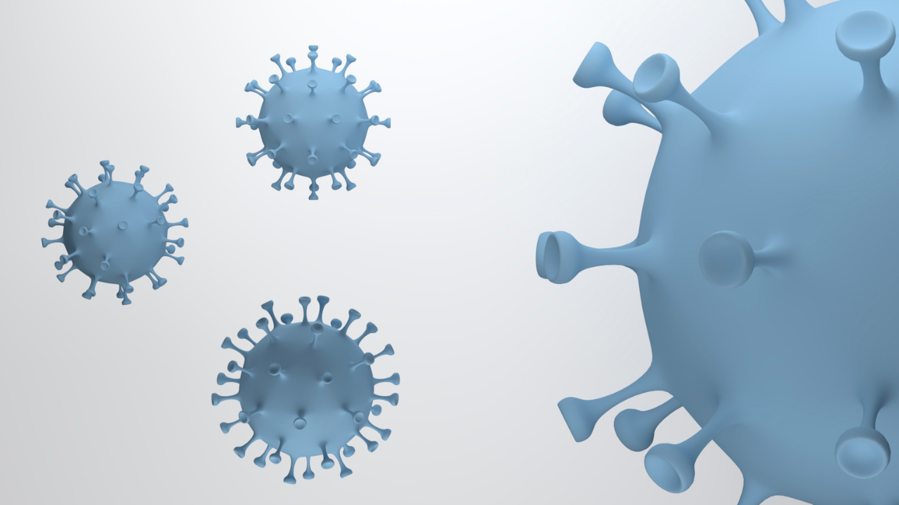 Các loại virus này lây lan rất nhanh