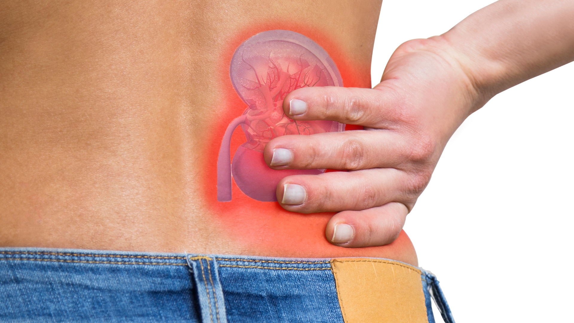 Nhiễm trùng thận là gì? Nhiễm trùng thận có điều trị được không? 1