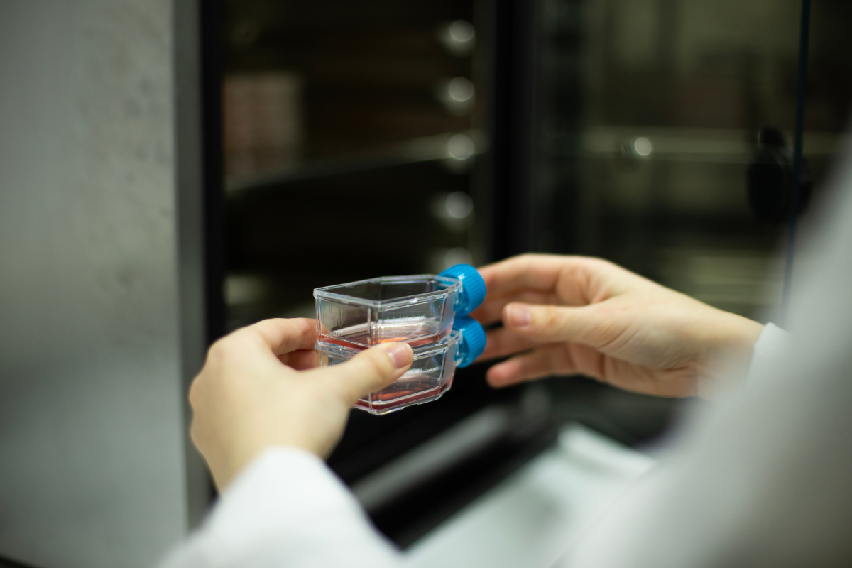 nhiem-trung-uon-van-u-benh-bao-lau-muc-do-nguy-hiem-qua-bien-chung 1.png