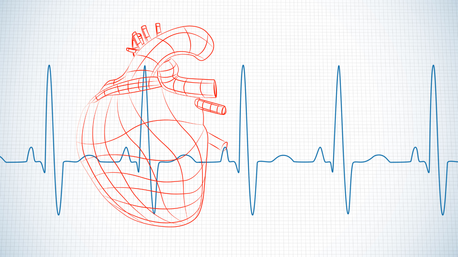 Làm sao để kiểm tra chính xác nhịp tim?