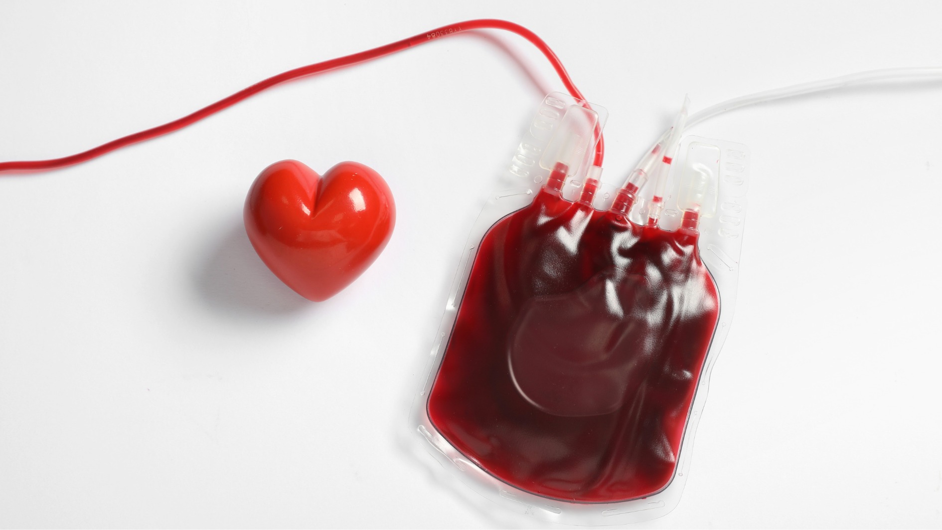 Nhóm máu A là một trong bốn nhóm máu chính (hệ ABO)