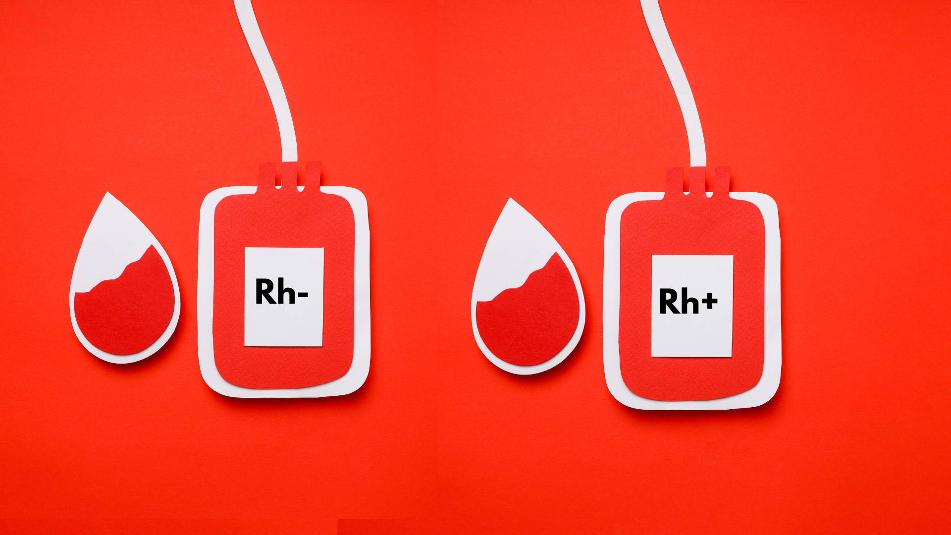 Lợi thế lớn của nhóm máu B Rh+ so với B Rh- nằm ở yếu tố Rh