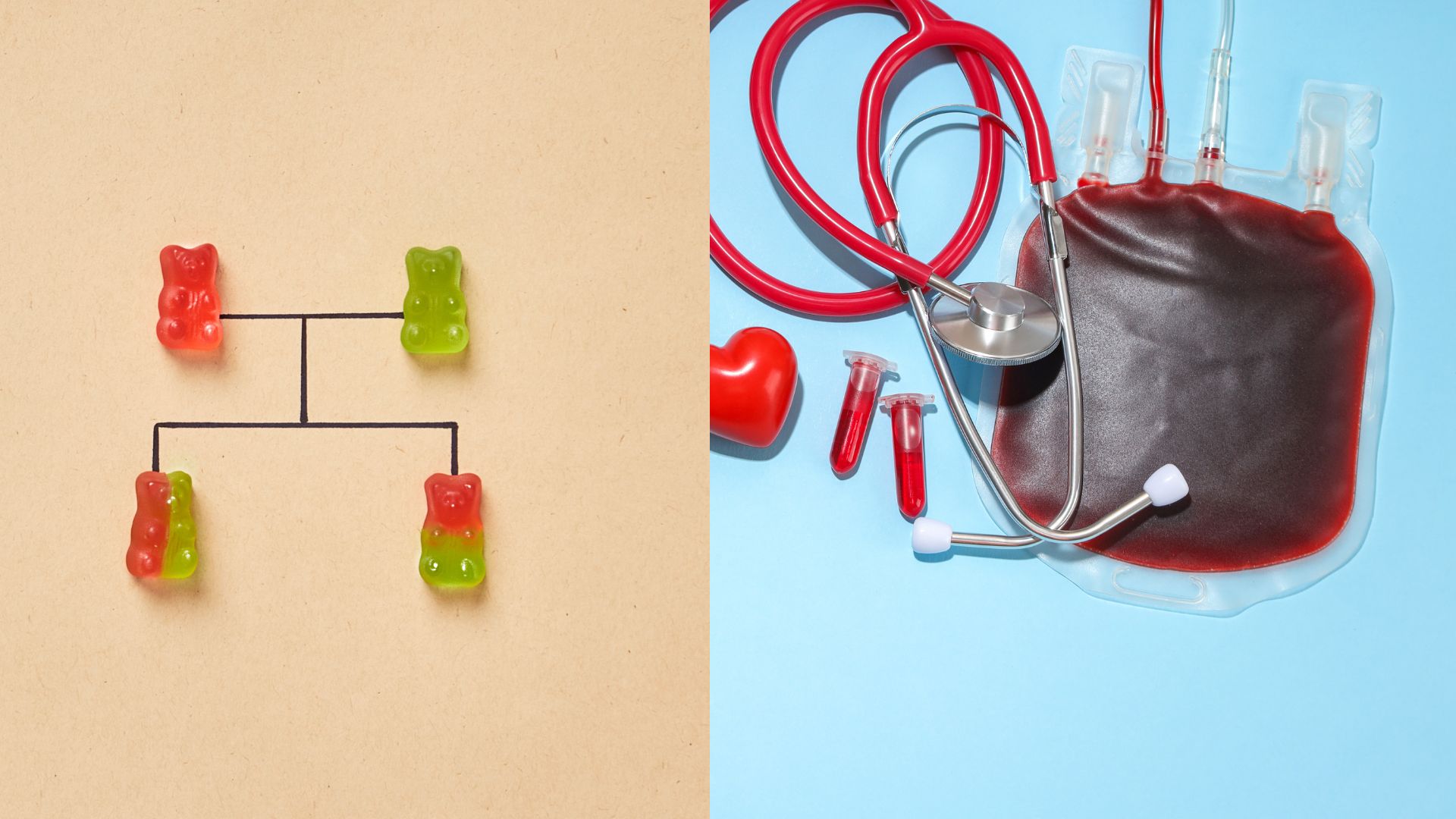 Nhóm máu có di truyền không là nỗi băn khoăn của nhiều độc giả