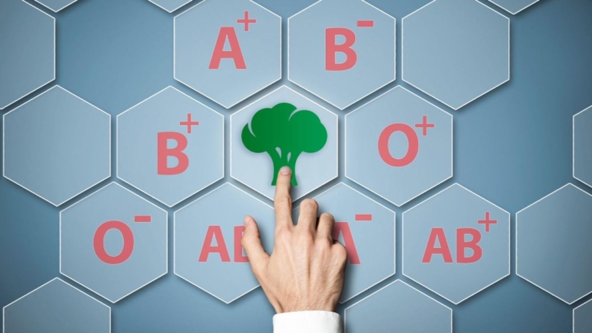 Nhóm máu của con có thể được xác định dựa trên nhóm máu của bố mẹ