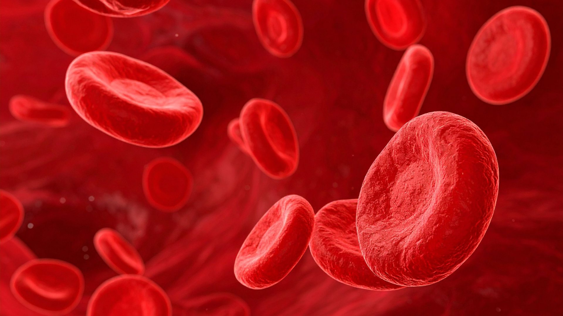 Thống kê các nhóm máu hiếm bên cạnh nhóm máu hiếm nhất thế giới