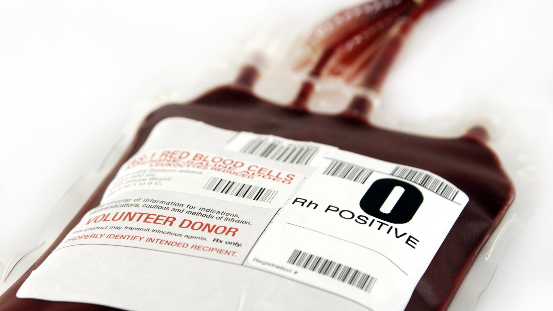 Nhóm máu O Rh+ khá phổ biến tại Việt Nam, tỷ lệ phân bố nhóm máu có thể khác nhau tùy từng khu vực, quốc gia