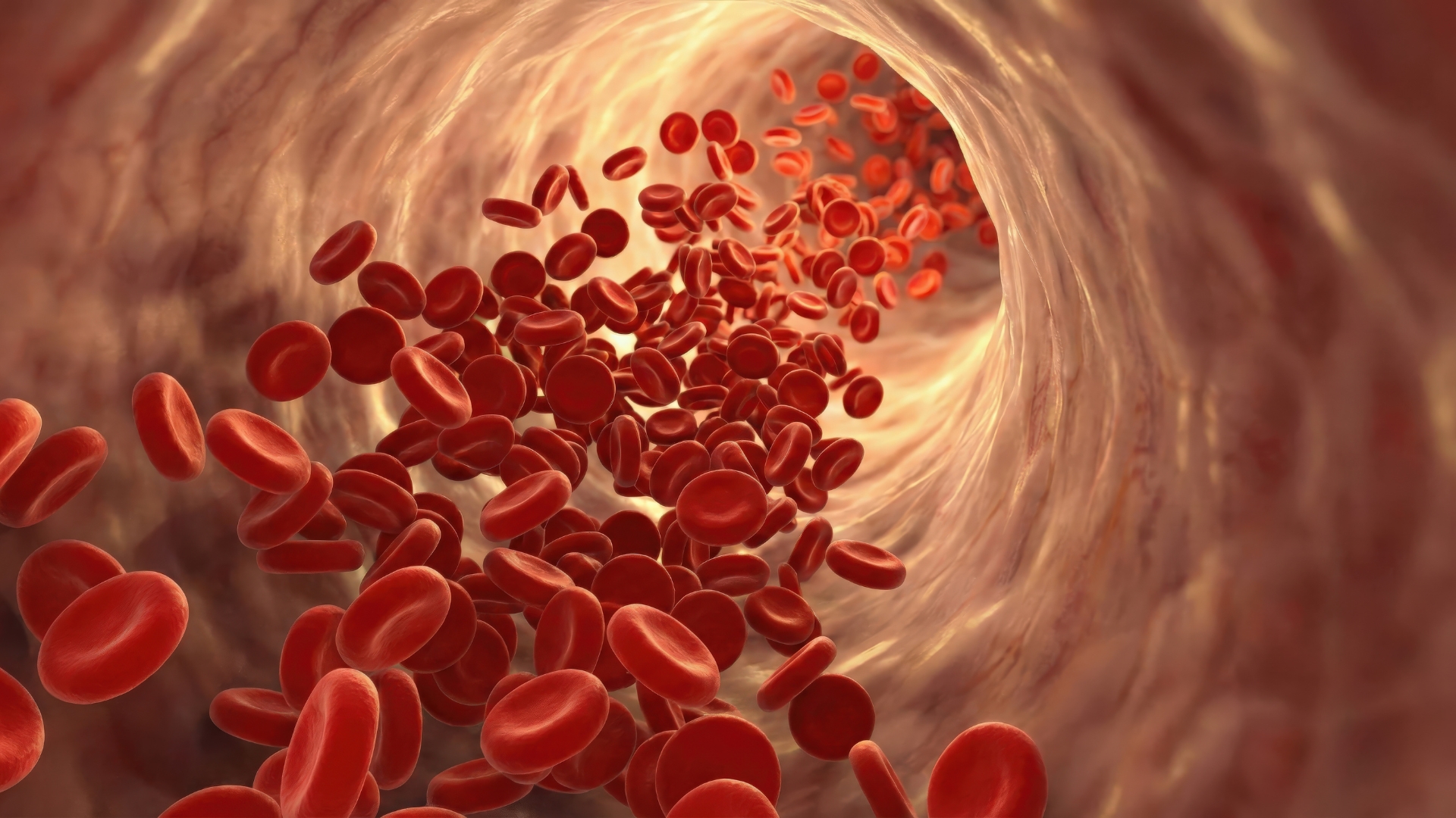 Nhóm O Rh+ có thể truyền cho các nhóm máu có Rh dương nhưng chỉ nhận được từ người có cùng nhóm O Rh+